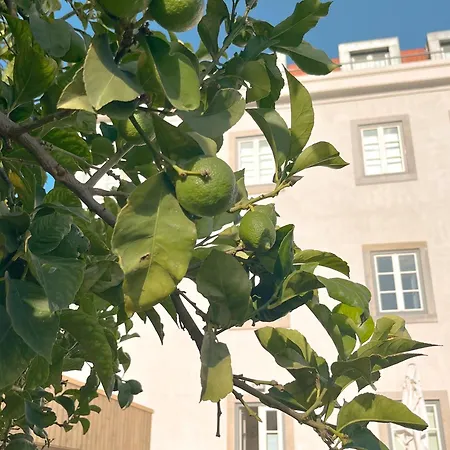 Ajuda Palace Apartment